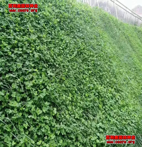 成为智慧水务精细化管理的得力助手