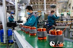 转子加工、绕组嵌装、转子压铸、定子铆压、电